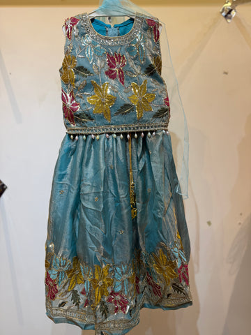 Ice blue Fendi organza floral border elite choli