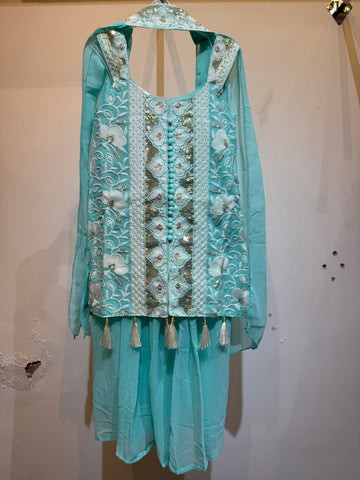 Pastel blue palazzo set thread embroidered top