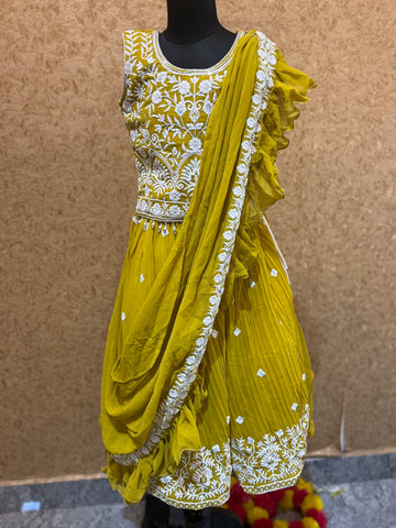 Haldi Latest Saree Model Choli with Thread Embroidery all over