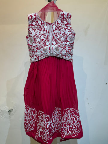 Reddish Pink Embroidered choli in bold flower pattern
