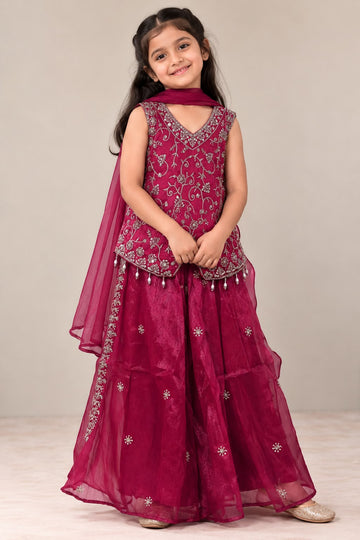 Rani pink all over embroidered heavy silver zari and sequins work top with organza palazzo