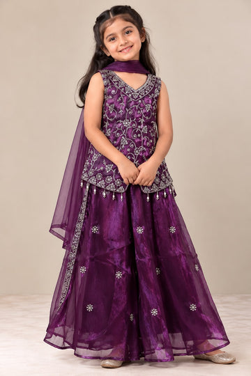 Wine embroidered sharara with V-neck top and organza palazzo